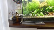Czyszczenie i przycinanie w akwarium 54L- Pozbywamy się kryptokoryn