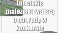 Lubelskie znaleziska walczą o nagrodę w konkursie archeologicznym