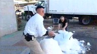 Mythbusters. S02E11. Christmas. Special. ENG