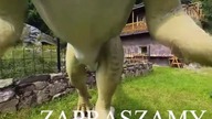Geologiczne Muzeum Ziemi w Kletnie  #shortsvideo #kletno #wakacje #przygoda #wycieczka #shorts