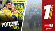 POTĘŻNA ARKA, SŁONIE WE MGLE | 18.  kolejka | 1.  Liga Room