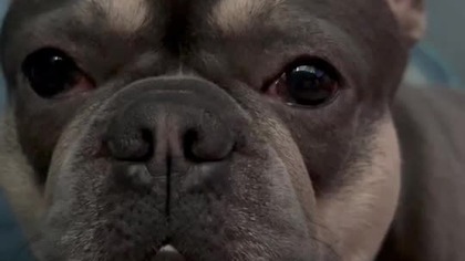 Lepkiej przemilczę 44-ry sekundy.