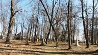17. Zmyślone wojny - Wujciofaja - 02 - 2025