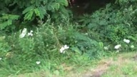 Codzienność na drodze krajowej nr 11