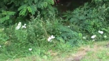 Codzienność na drodze krajowej nr 11