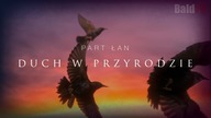 POLA MORFICZNE CZĘŚĆ 1 (ORGANIZMY SAMOORGANIZUJACE SIĘ I HISTORIA HIPOTEZY)