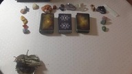  Wybierz kartę  Jak ON/ONA ocenia tą znajomość lub ten związek? TAROT