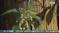 TV Narew - Wpadki (20.  06.  2023)