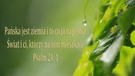 świadectwo Grisza