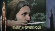 Zbigniew Stonoga ft.  Robin of Sherwood ft.  Dobromir Sośnierz ft.  Janusz Korwin-Mikke REMIX