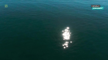 Canal+ Dokument - Blok reklamowy, ident i komunikat (08. 01. 2026)