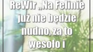 ReWir Na Felinie już nie będzie nudno, za to wesoło i kreatywnie