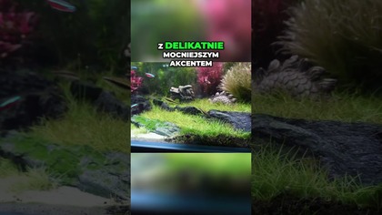 Ciekawe zbiorniki w sklepie.  Aquafloor Ruda Śląska.