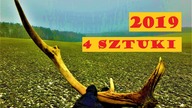 Zrzuty Jeleni 2019 + 4 Sztuki, Sezon Nadchodzi
