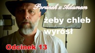 Naczynie do pieczenia chleba.  Które najlepsze? Poranek z Adamem [13]