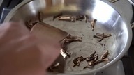 Kawa z korzenia mniszka lekarskiego (+Herbatka) ZŻ83