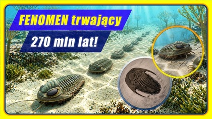 TRYLOBITY - wizytówka paleozoiku - historia Ziemi #7