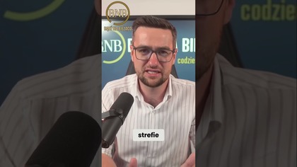 Rząd Nie Radzi Sobie Z Oszustwami W Internecie?
