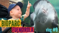 TAK wygląda ZOO w Hiszpanii!