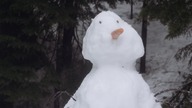 Cold Wind Blowing 2022 ENG