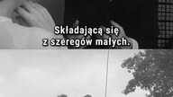 CZTEREJ PANCERNI  Podmienili Szarika? #szarik #czterejpancerni #januszgajos