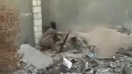 Wesoły terrorysta +18