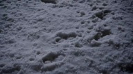Pewnego razu w czasie Wigilii [One Christmas Eve] (2014) Lektor PL