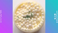 EPIC Oddly SATISFYING Videos Box *HOT NEW*