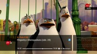 ORANGE TV IPTV - 07-07-2021 - Zapping kanałów