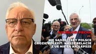 Czy Polska pójdzie drogą Wielkiej Brytanii? Komentarz do słów marszałka Terleckiego
