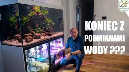 Jak on to zrobił? 700 litrów akwarium bez podmian wody!