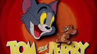 Tom i Jerry - odcinek 066 Kot uwodziciel