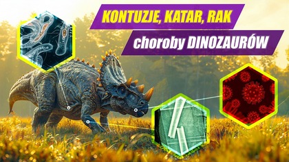 Na co chorowały dinozaury?
