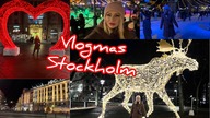 Vlogmas18- Stockholm, Lodowiska, Dekoracje Swieteczne