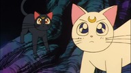 06.  Sailor Moon - Przemiana Sailor Moon w Princess Serenity (odcinek 34)