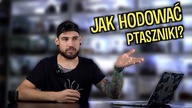 JAK HODOWAĆ (MŁODE) PTASZNIKI??