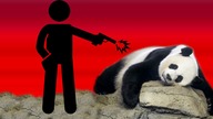 10 ZWIERZĄT ZAGROŻONYCH WYGINIĘCIEM