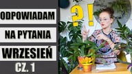Odpowiadam na KOMENTARZE widzów Roślinne Problemy Wrzesień 2020 CZĘŚĆ 1