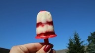 DOMOWE LODY Z OWOCAMI