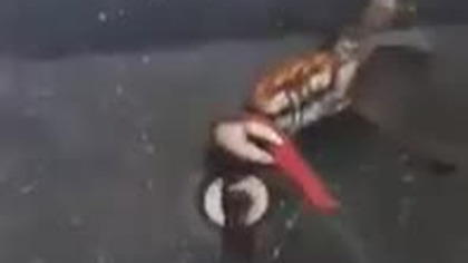 Walka na noże kraba z człowiekiem