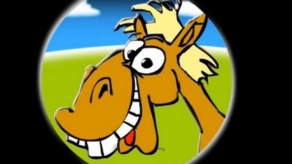 KOŃ RAFAŁ (HD) - Chowany, Dżokej, Głodny