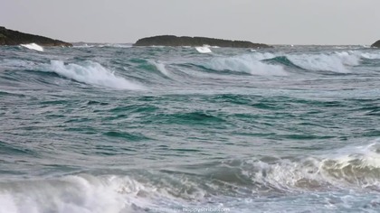 Toxic. Shark. 2017. 720p. BluRay. x264. AAC-[YTS. MX]