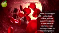 Pij codziennie wodę z goździk&oacute;w a uzyskasz te niesamowite korzyści zdrowotne