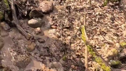 Hard Enduro KTM E-XC GoPro 13 Ultra Wide Lens Mod