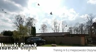 Trening nr 6 - Gołębie Dorosłe - Hodowla lotowa Białkowski-Ciupak - Oddział PZHGP 0369 Żagań