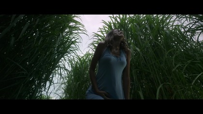 W wysokiej trawie / In the Tall Grass (2019) [Lektor PL]