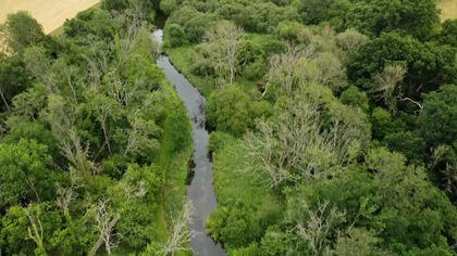 W wodach Wielkiej Brytanii