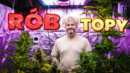 ZMIANA ŚWIATŁA (prawie) CAŁA FAZA KWITNIENIA | Growvlog s03e07