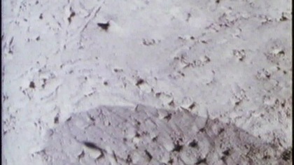 vlc-record-2023-07-29-02h21m50s-DE ARD Alpha-