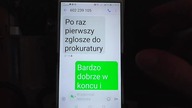JAK TO MOŻLIWE ŻE OSOBY KARANE SĄDOWNIE W POLSCE ZAKŁADAJĄ PARTIE I STOWARZYSZEN
